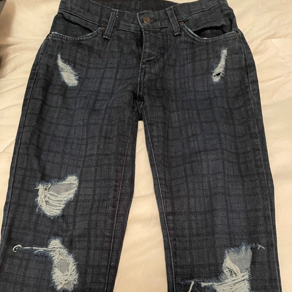James Jeans Distressed Blue Pattern Jeans Size 24